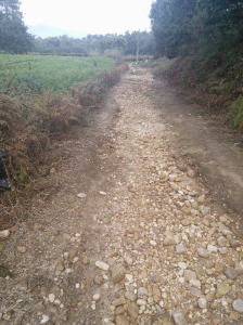 A stoney path