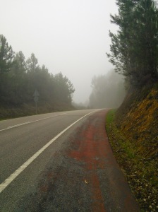 Lonesome highway