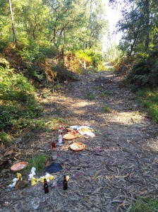 Spied on a path across from a church: bottles of martini mix, cakes, quail eggs, grapes, apples, and beer. Party remnants!